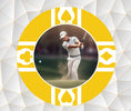 Load image into Gallery viewer, golden-golf-markers-poker-chip