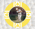 Load image into Gallery viewer, yellow-golf-markers-poker-chip